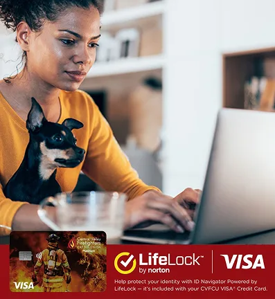 Woman focused on a laptop, wearing a mustard sweater, with a small dog on her lap. The scene is cozy and serene, emphasizing concentration.